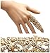 wiipujewelry New Hot Punk Rock Full Finger Rhinestone Scroll Armor Joint Knuckle Ring (WP-G95)