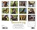 Just Chocolate Labs 2015 Wall Calendar