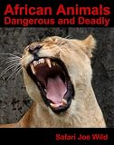 African Animals (Dangerous Lions, Tigers & Leopards and Other Deadly African Animals (Photos, Facts and Fun Games for Children))