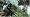 Call of Duty 4: Modern Warfare