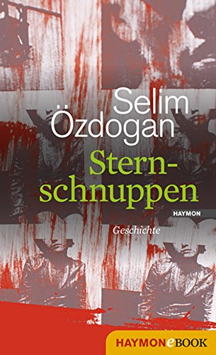 Sternschnuppen: Geschichte (German Edition)