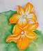 Art Reproduction Oil Painting - O'Keeffe Paintings: Squash Blossoms - Classic 20\