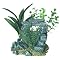 Start a Fluval Chi Aquarium