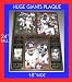 HUGE NEW YORK GIANTS SUPER BOWL XLII 