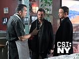 Csi: NY: White Gold