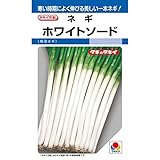 【種子】ネギ　ホワイトソード 小袋