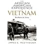 The African American Experience in Vietnam: Brothers in Arms (African American History Series)