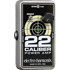 Electro Harmonix 22 Caliber