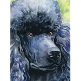 "Black Poodle" Dog Art Print By Artist Dj Rogers