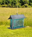 Bird Brain Beaming Bird Feeder, Aqua