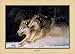 The Chase Masters of Photography Jigsaw Puzzle