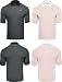 Sports : UNDER ARMOUR 1100530 Performance Stripe Polo - KOSTENLOSER VERSAND