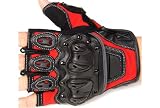 ラフ&ロード:プロテクション ハーフフィンガー グローブ / XL RR-8351 / レッド