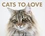Cats to Love