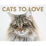 Cats to Lovevon "Matthias Reuss"