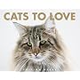Cats to Love von Matthias Reuss