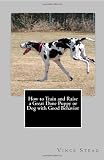 How to Train and Raise a Great Dane Puppy or Dog with Good Behavior