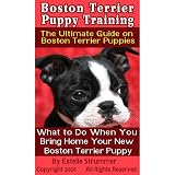 Boston Terrier Puppy Training: The Ultimate Guide on Boston Terrier Puppies, What to Do When You Bring Home Your New Boston Terrier Puppy