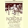 The Incredible Journey