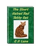 The Short Haired Red or Orange Tabby Cat