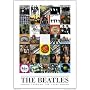 Beatles (Through the Years Album Covers) Music Poster Print - 24" X 36"