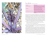 picture of Edible Seashore: River Cottage Handbook No.5