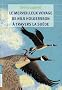 Le merveilleux voyage de Nils Holgersson � travers la Su�de