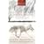 Women Who Run with the Wolves: Contacting the Power of the Wild Woman (Classic Edition)