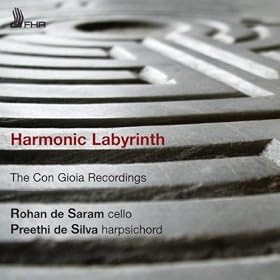 Harmonic Labyrinth: The Con Gioia Recordings