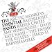 NME Presents Essential Bands