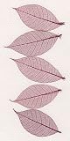 Skeleton Leaves- Pack of 15 Maroon Mini Rubber Tree Leaves