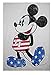 Disney Juniors Mickey Mouse Distressed USA Flag Outfit Tank Top