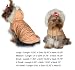 Snow Princess Pet Coat
