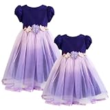 Rare Editions Girls 2T-6X EGGPLANT-PURPLE OMBRE SHANTUNG TULLE Special Occasion Wedding Flower Girl Party Ballet Dance Dress