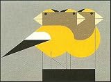 Gregarious Grosbeaks