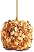 Gourmet Caramel Apples - Nut Covered - 2 Gift Pack