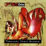 Terminal Spirit Disease