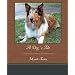 A Dog's Tale