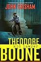 Theodore Boone, Kid Lawyer