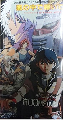 嵐の中で輝いて