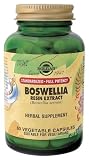 Solgar - Sfp Boswela Resin Extract, 60 veggie caps