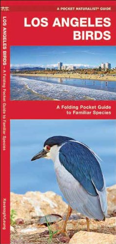 Los Angeles Birds: A Folding Pocket Guide to Familiar Species (Pocket Naturalist Guide Series)