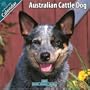 Australian Cattle Dog 2010 Wall Calendar #10009-10
