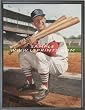Stan Musial - Wall Framed Canvas Art Print - St. Louis Cardinals