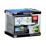 ���i�̏ڍ�