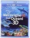Le Meraviglie Degli Oceani (3D)