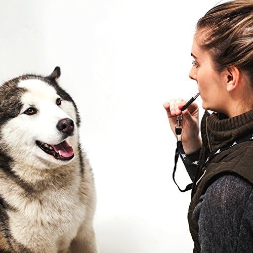 Finest Pets® Adjustable Pitch Dog Whistle, #1 Professional Best Quality Bark Whistle with Keyring Lanyard, Corrosion Resistant Metal, Adjustable Pitch, Stop Barking