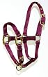 Hamilton Deluxe 3/4" Nylon Horse Halter with Adjustable Chin, Wine, Foal/Average Mini Donkey (100-200 lbs)