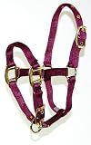 Hamilton 3/4 Nylon Adjustable Chin Pony Halter, Wine