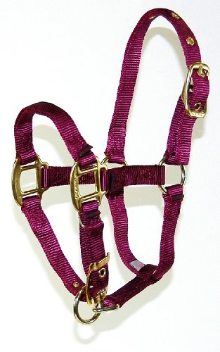Hamilton 3/4 Nylon Adjustable Chin Pony Halter, Wine